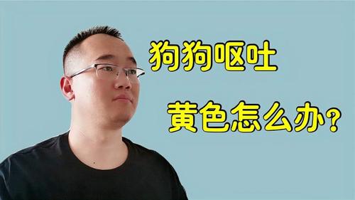 狗吃了什么东西吐黄水怎么办