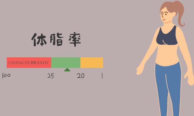 什么运动能减体脂