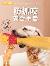 怎么预防狗狗咬东西