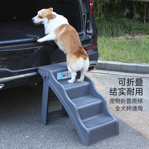 怎么训练狗上下楼梯