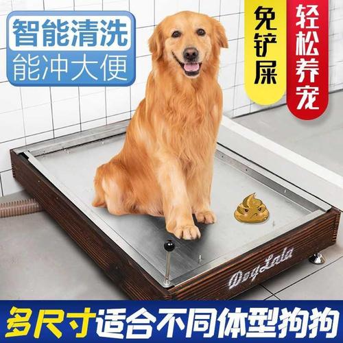 如何训练大型犬用马桶