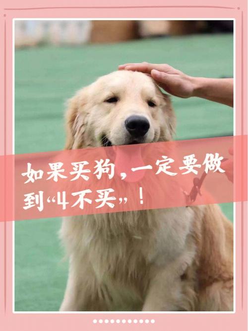 买狗需要了解什么东西