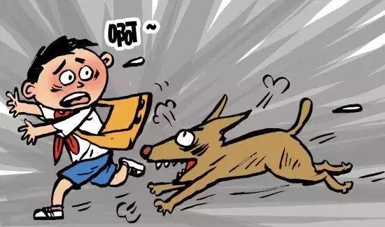狗咬坏东西怎么解决