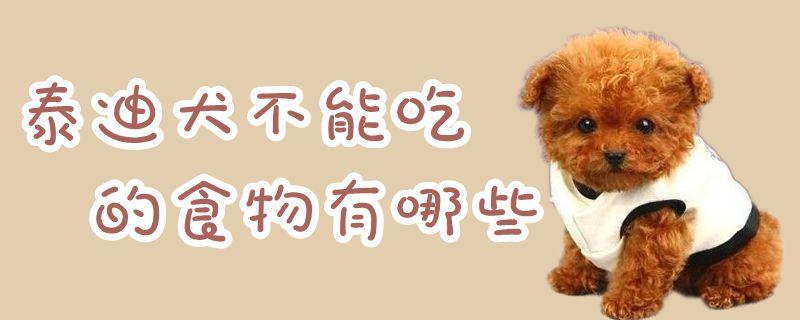 泰迪狗不能吃什么东西新闻