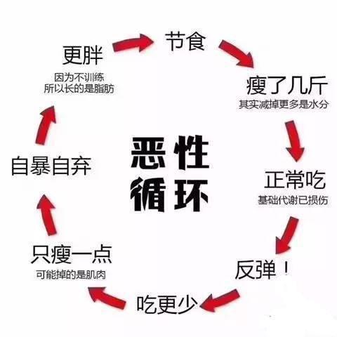 每天运动反弹