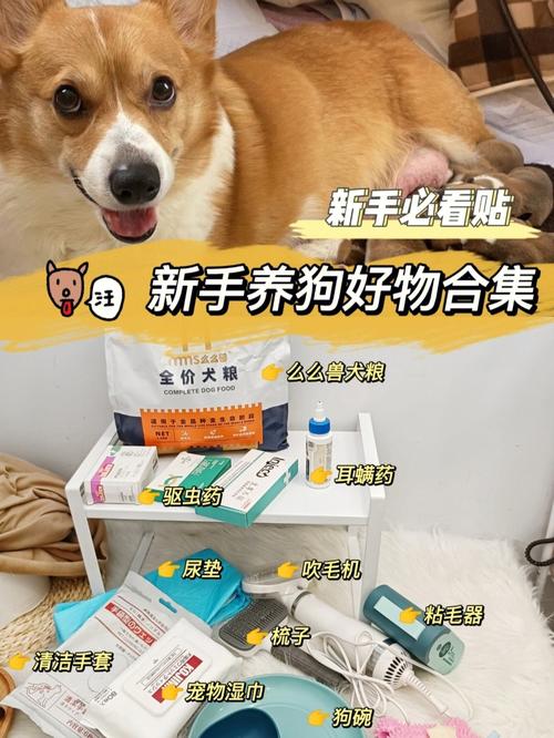 养狗要准备的东西