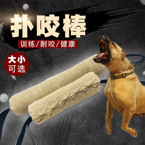 训练狗狗工具