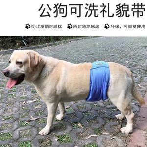 狗 尿布 训练