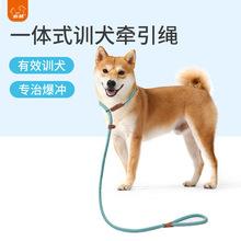 幼犬几个月套绳在家训练