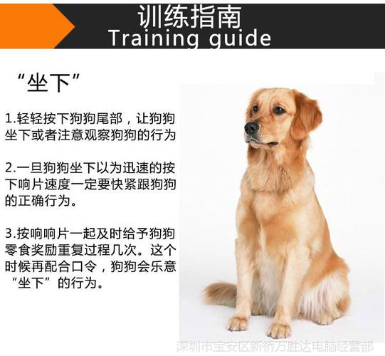 新狗用响片训练