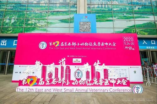 2019年东西部小动物