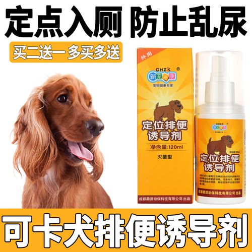 定点排泄训练