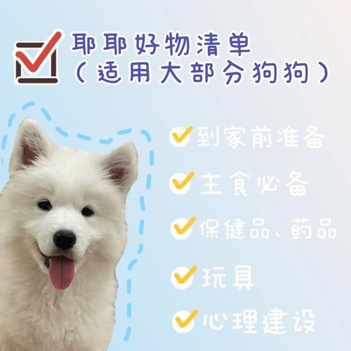 初次养狗需要买些什么东西