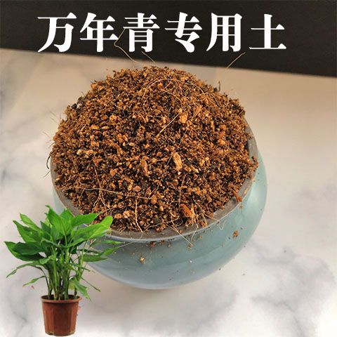盆景栽培土