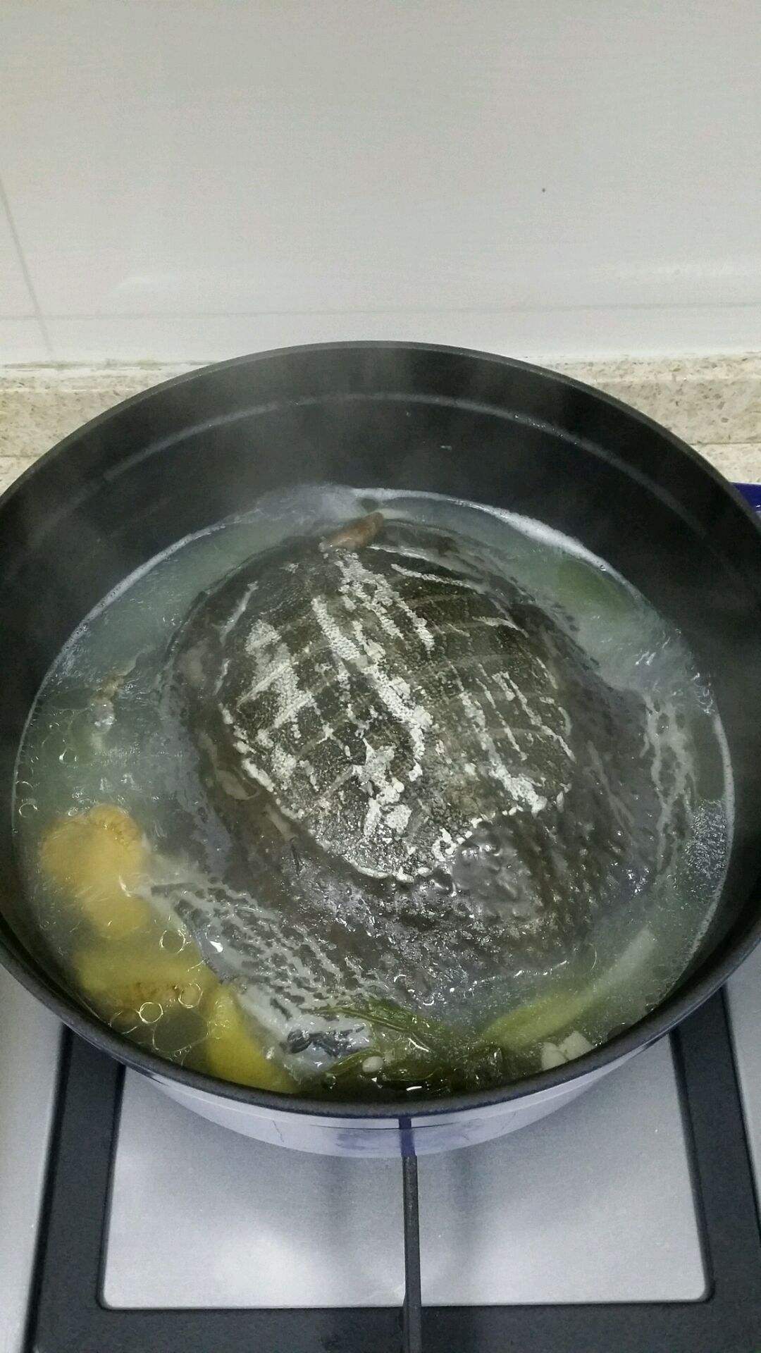 甲鱼汤的做法