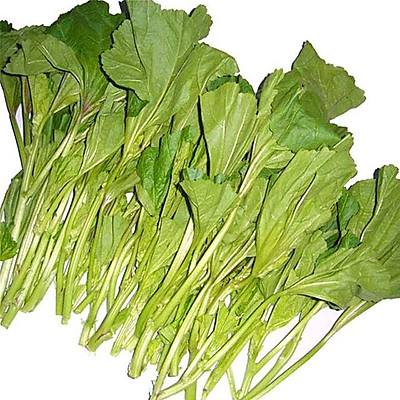 冬寒菜做法