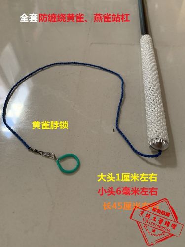 黄雀怎么训练站杠