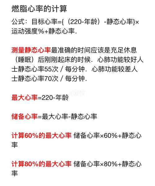 燃脂运动计算