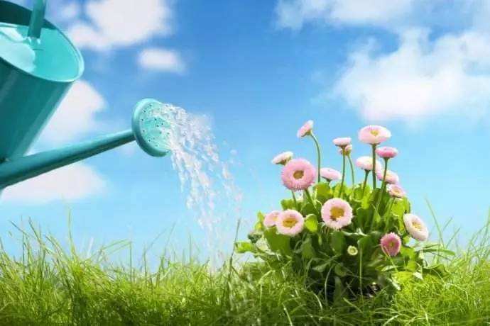 夏天花草浇水注意事项