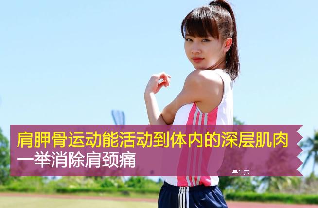 肩胛怎么运动