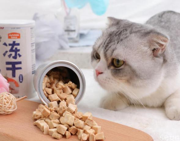 猫咪不吃没吃过的东西怎么办
