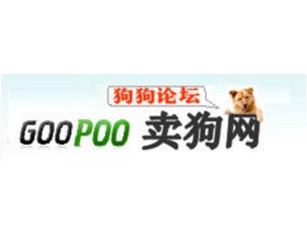 卖狗网站都有什么东西