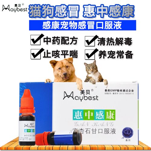 狗狗干咳东西怎么办吃什么药好