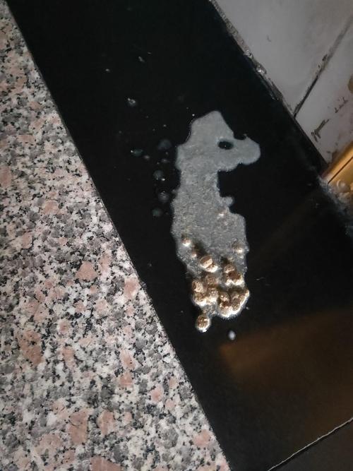猫咪吐的是黑色的东西怎么办