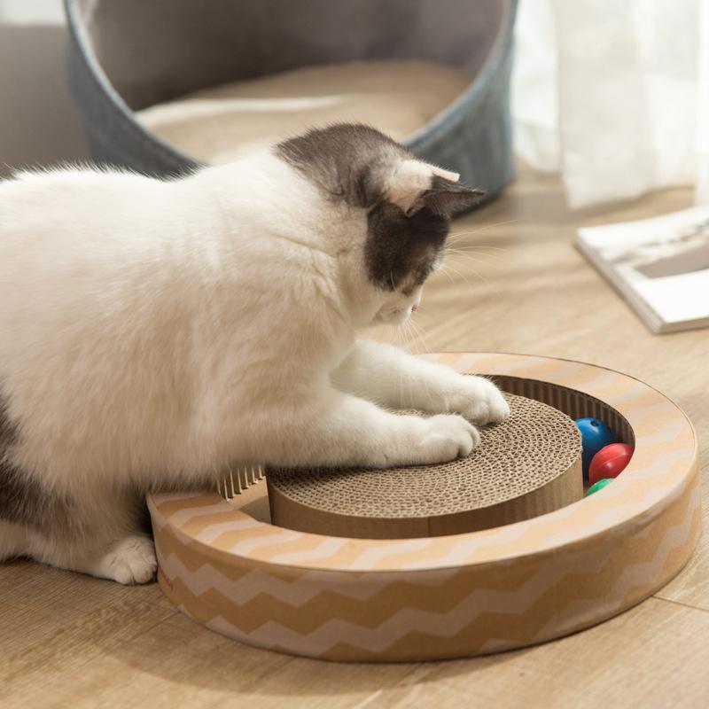 猫老是挠东西怎么办