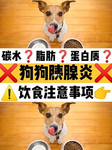 狗狗胰腺炎可以吃东西吗