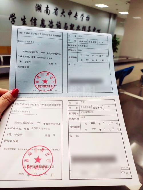 报到证丢失怎么补办