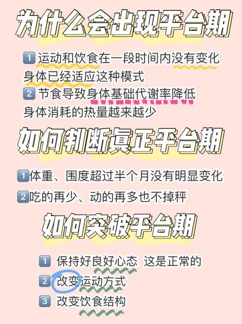 一个月饮食运动减肥法