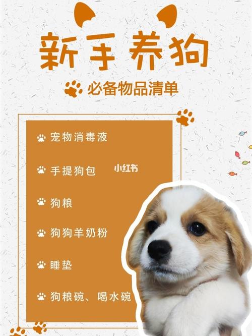 养狗狗必备东西