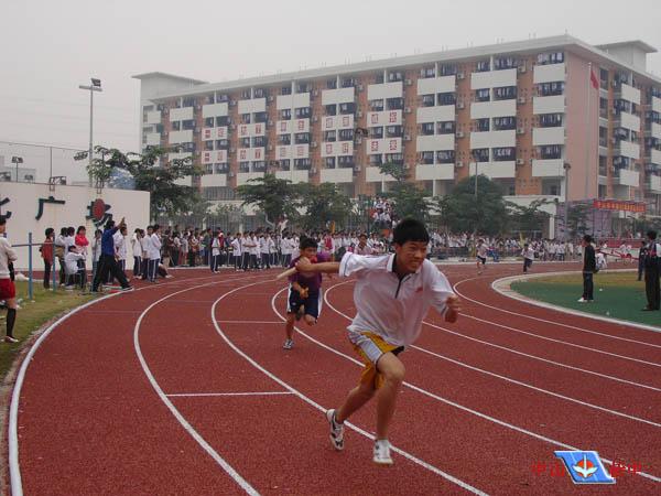 运动会结束后怎么做