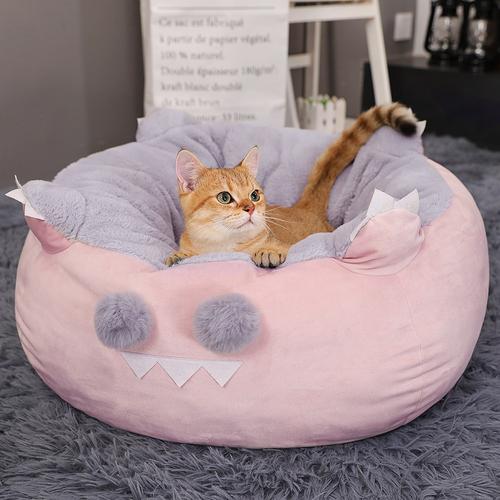 猫窝训练