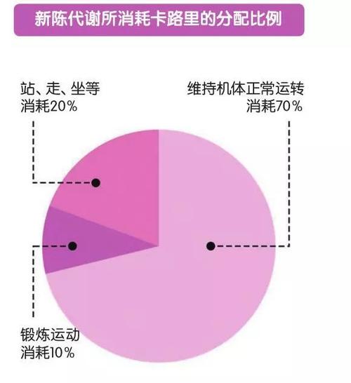 运动新陈代谢