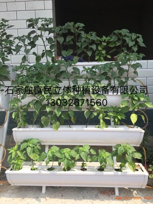 无土栽培怎样设计基质栽培曹