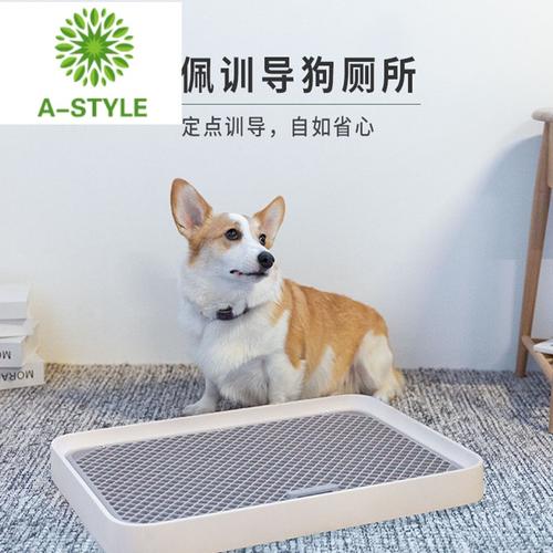 狗训练户外厕所