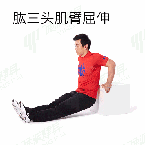 减围度的运动