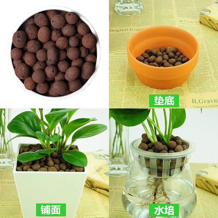 陶粒水培注意事项