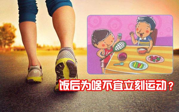 饭前运动好还是饭后