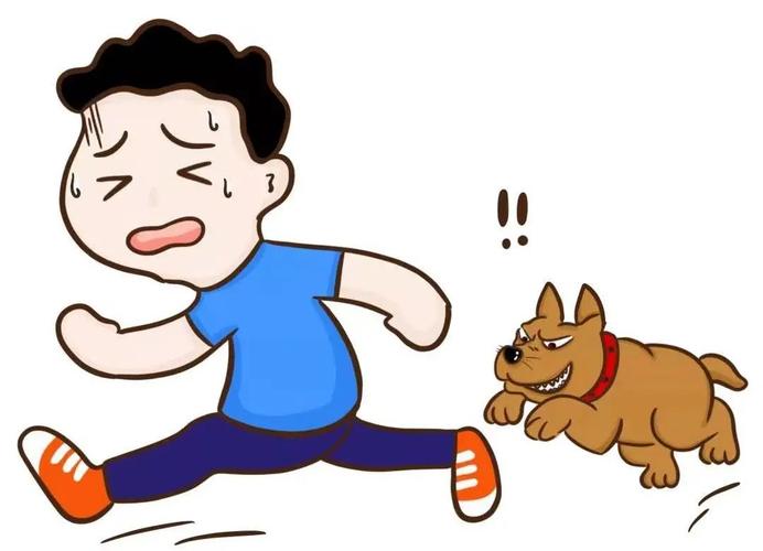 怎么训练狗咬东西