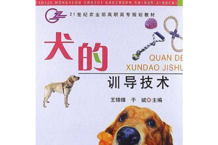 犬的训练算数训练