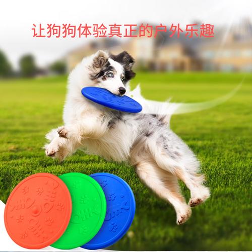 怎样训练狗接飞碟