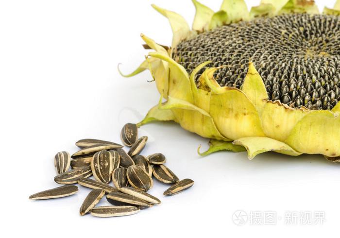 葵花籽做法