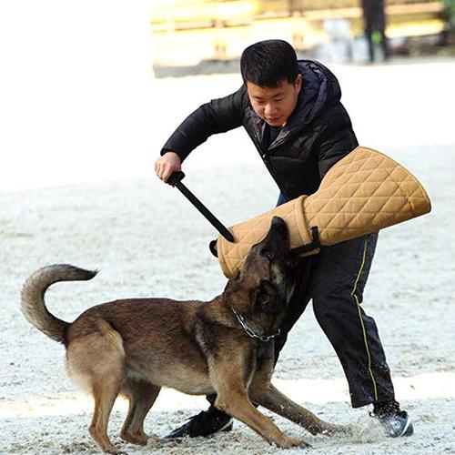 马犬训练的工具有哪些