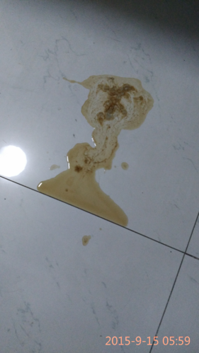 狗被打后呕吐不吃东西