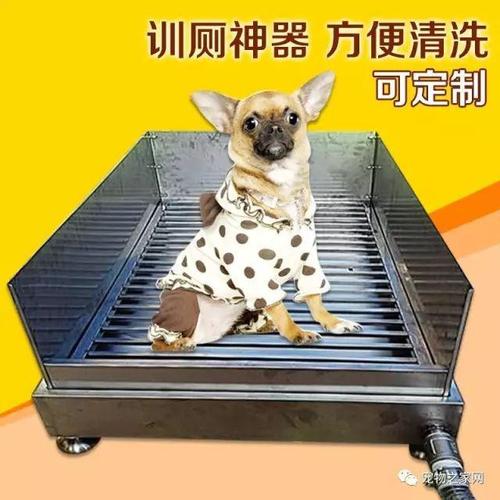 怎么训练狗狗到笼子内大小便