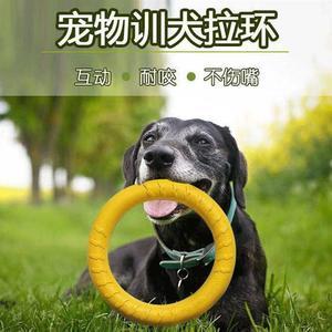 训练狗狗用品