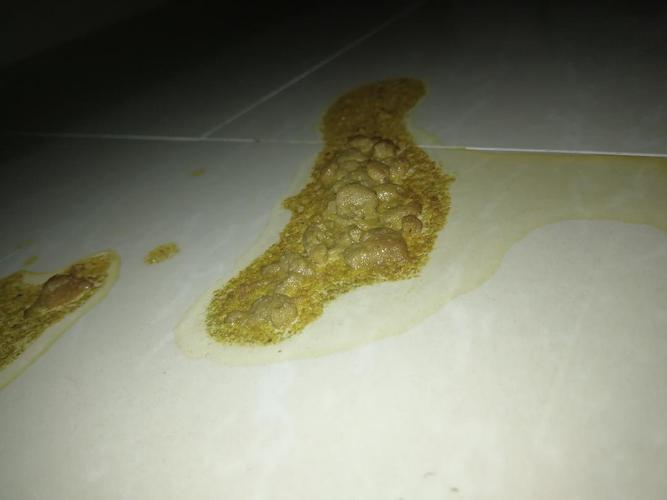 猫拉稀吃东西也吐出来怎么办
